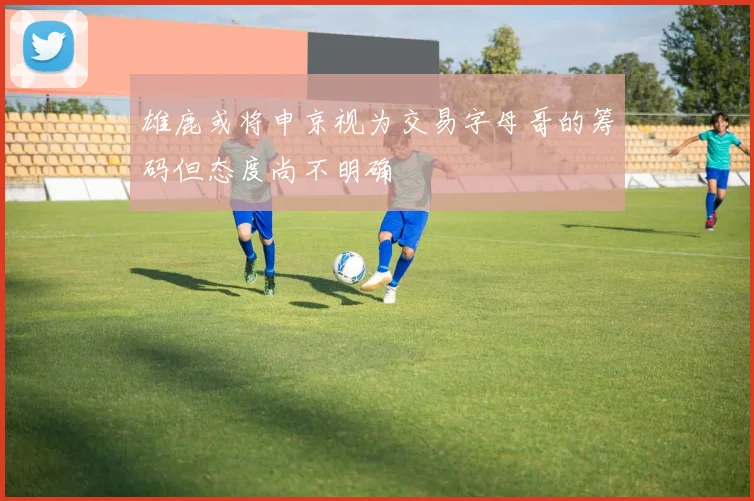 雄鹿或将申京视为交易字母哥的筹码但态度尚不明确